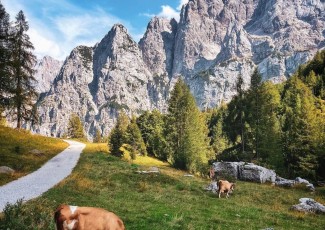Poznávací zájezd Slovinsko - KRÁSY JULSKÝCH ALP Poznávací zájezd Slovinsko - KRÁSY JULSKÝCH ALP