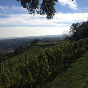 Teambuilding ve Slovinsku 11.-13.10.2013 Teambuilding ve Slovinsku 11.-13.10.2013