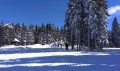 Lyžování na Rogle, bungalovy Rogla 3* - AUTOBUSEM nebo AUTEM