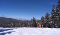 SKI PAKET Rogla - Bungalovy Rogla 3*
