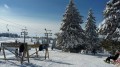 SKI PAKET Rogla - Bungalovy Rogla 3*