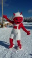 SKI PAKET Rogla - Bungalovy Rogla 3*