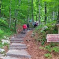 Vodopád Savica
