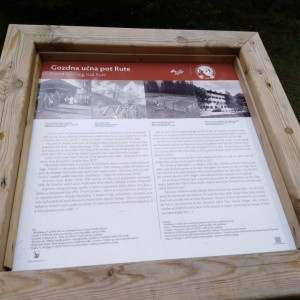 Poznávací zájezd Slovinsko - KRÁSY JULSKÝCH ALP Poznávací zájezd Slovinsko - KRÁSY JULSKÝCH ALP