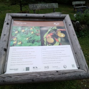 Poznávací zájezd Slovinsko - KRÁSY JULSKÝCH ALP Poznávací zájezd Slovinsko - KRÁSY JULSKÝCH ALP