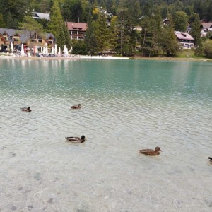 Poznávací zájezd Slovinsko - KRÁSY JULSKÝCH ALP Poznávací zájezd Slovinsko - KRÁSY JULSKÝCH ALP