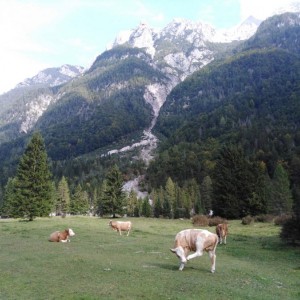 Poznávací zájezd Slovinsko - KRÁSY JULSKÝCH ALP Poznávací zájezd Slovinsko - KRÁSY JULSKÝCH ALP