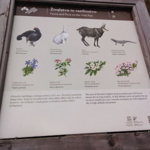 Poznávací zájezd Slovinsko - KRÁSY JULSKÝCH ALP Poznávací zájezd Slovinsko - KRÁSY JULSKÝCH ALP