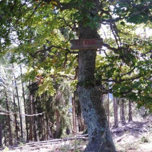 Poznávací zájezd Slovinsko - KRÁSY JULSKÝCH ALP Poznávací zájezd Slovinsko - KRÁSY JULSKÝCH ALP