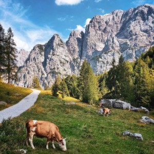Poznávací zájezd Slovinsko - KRÁSY JULSKÝCH ALP Poznávací zájezd Slovinsko - KRÁSY JULSKÝCH ALP