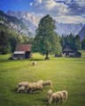 Poznávací zájezd Slovinsko - KRÁSY JULSKÝCH ALP