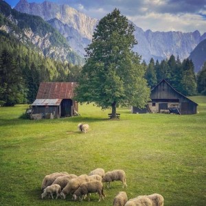 Poznávací zájezd Slovinsko - KRÁSY JULSKÝCH ALP