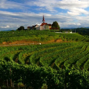 AUTOBUSEM nebo AUTEM - Lázně Lendava - APARTMÁNY Resort Lendava 3* AUTOBUSEM nebo AUTEM - Lázně Lendava - APARTMÁNY Resort Lendava 3*