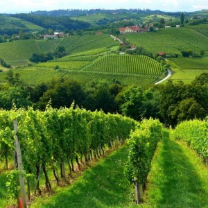 AUTOBUSEM nebo AUTEM - Lázně Lendava - APARTMÁNY Resort Lendava 3* AUTOBUSEM nebo AUTEM - Lázně Lendava - APARTMÁNY Resort Lendava 3*