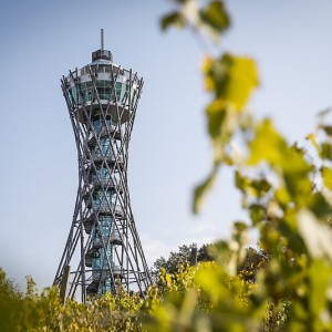 AUTOBUSEM nebo AUTEM - Lázně Lendava - APARTMÁNY Resort Lendava 3* AUTOBUSEM nebo AUTEM - Lázně Lendava - APARTMÁNY Resort Lendava 3*