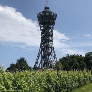 AUTOBUSEM nebo AUTEM - Lázně Lendava - APARTMÁNY Resort Lendava 3* AUTOBUSEM nebo AUTEM - Lázně Lendava - APARTMÁNY Resort Lendava 3*