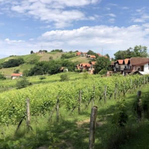 AUTOBUSEM nebo AUTEM - Lázně Lendava - APARTMÁNY Resort Lendava 3* AUTOBUSEM nebo AUTEM - Lázně Lendava - APARTMÁNY Resort Lendava 3*