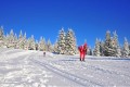 SKI PAKET Rogla - hotel Rogla superior 3*