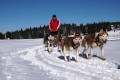 SKI PAKET Rogla - hotel Rogla superior 3*