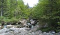 Zájezdy a dovolené - oblast Bohinjské jezero