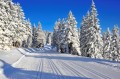Lyžuj na Rogle, spi v Terme Zreče - Vile Terme Zreče 4*