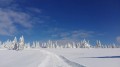 SKI PAKET Rogla - hotel Rogla superior 3*