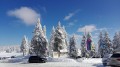 SKI PAKET Rogla - hotel Rogla superior 3*