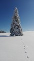 SKI PAKET Rogla - hotel Rogla superior 3*