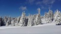 SKI PAKET Rogla - hotel Rogla superior 3*