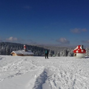 Prodloužený víkend na horách - AUTOBUSEM - lyžování, Hotel Rogla Superior 3*, Rogla