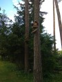 Lyžuj na Rogle, spi v TERME ZREČE - HOTEL ATRIJ 4*