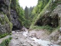 Poznávací zájezd Slovinsko - KRÁSY JULSKÝCH ALP