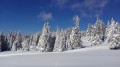 SKI PAKET Rogla - hotel Rogla superior 3*