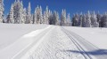 SKI PAKET Rogla - hotel Rogla superior 3*