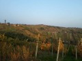 Vyhlídková věž Vinarium Lendava