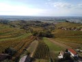 Vyhlídková věž Vinarium Lendava