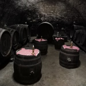 Vinařství Belak aneb z termálů Radenci na vínko! Vinařství Belak aneb z termálů Radenci na vínko!