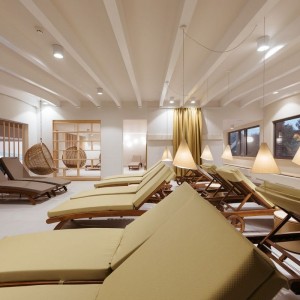 Ajda, pohanka nebo hotel? Ajda, pohanka nebo hotel?