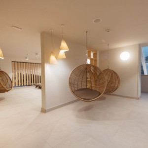 Ajda, pohanka nebo hotel? Ajda, pohanka nebo hotel?