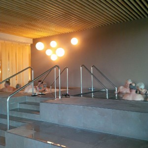 Ajda, pohanka nebo hotel? Ajda, pohanka nebo hotel?