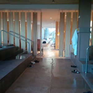 Ajda, pohanka nebo hotel? Ajda, pohanka nebo hotel?