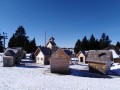 SKI PAKET Rogla - hotel Rogla superior 3*