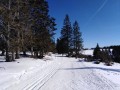 SKI PAKET Rogla - hotel Rogla superior 3*