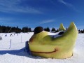 SKI PAKET Rogla - hotel Rogla superior 3*