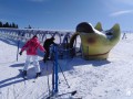 SKI PAKET Rogla - hotel Rogla superior 3*