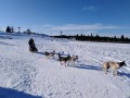 SKI PAKET Rogla - hotel Rogla superior 3*