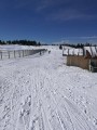 SKI PAKET Rogla - hotel Rogla superior 3*
