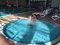 Lázně Moravske Toplice - Hotel Vivat 4* superior - AUTOBUSEM