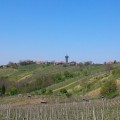 Vyhlídková věž Vinarium Lendava