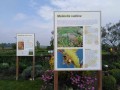 Muzeum včelařstvá v Krapje poblíž Banovci